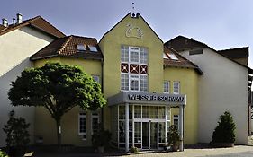 Weisser Schwan Erfurt